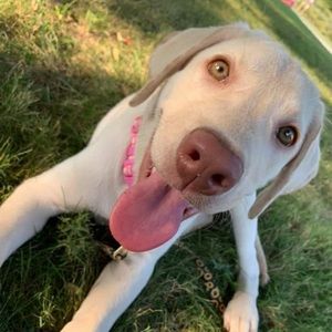 Meet your Posher, Katelyn